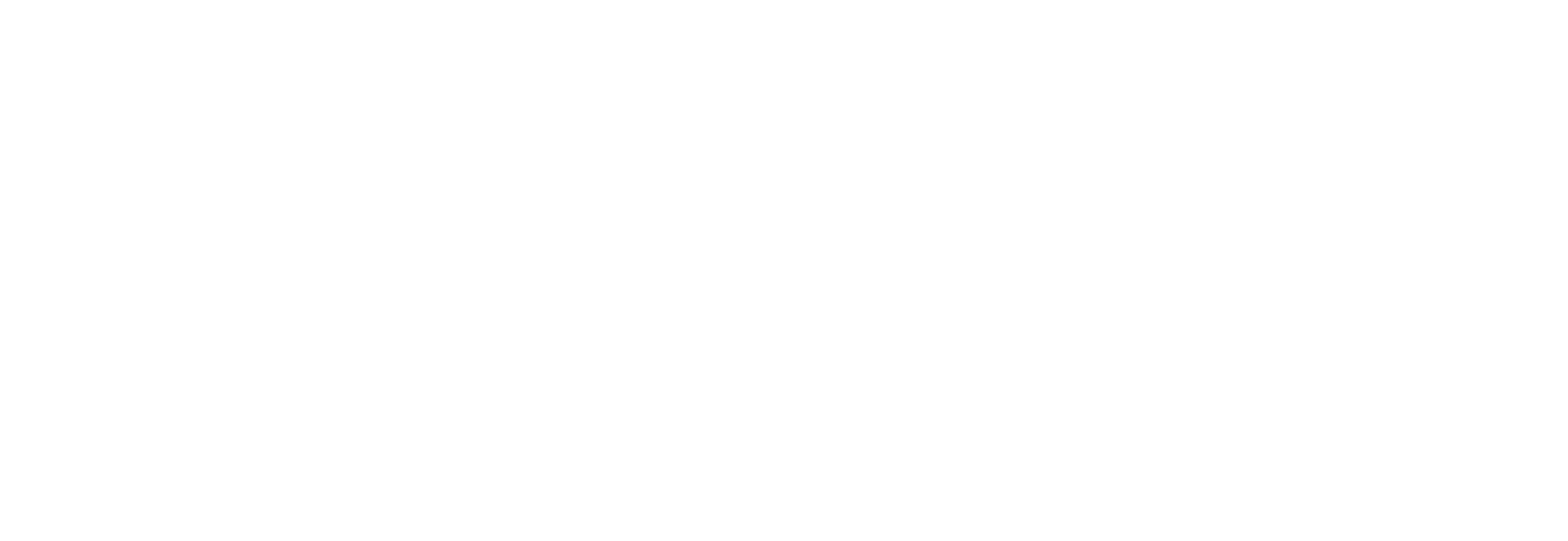 Breda University